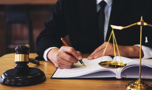 litigation process meaning